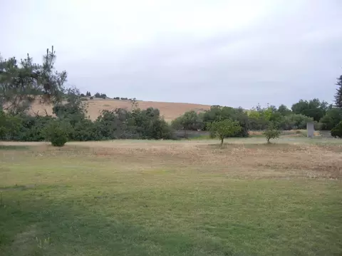 29515 Road 217, Exeter, CA 93221 photo 7