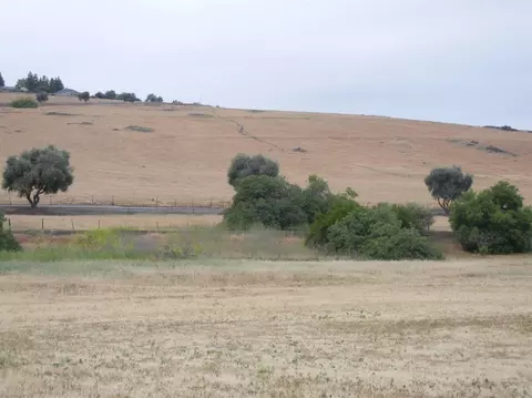 29515 Road 217, Exeter, CA 93221 photo 5