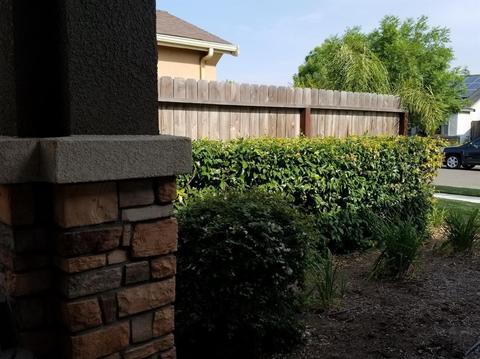3835 Evergreen Ave, Visalia, CA 93292 photo 4