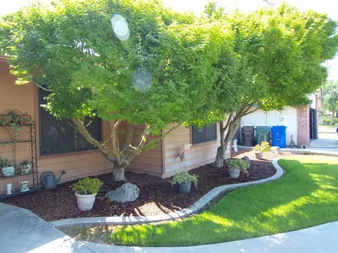 425 Carissa Ct, Exeter, CA 93221 photo 4