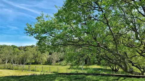 37554 E Kings Canyon Rd, Dunlap, CA 93621 photo 59