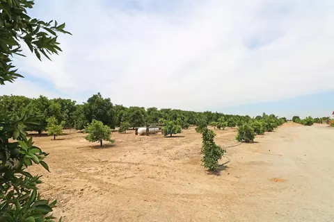 26647 Road 192, Exeter, CA 93221 photo 34