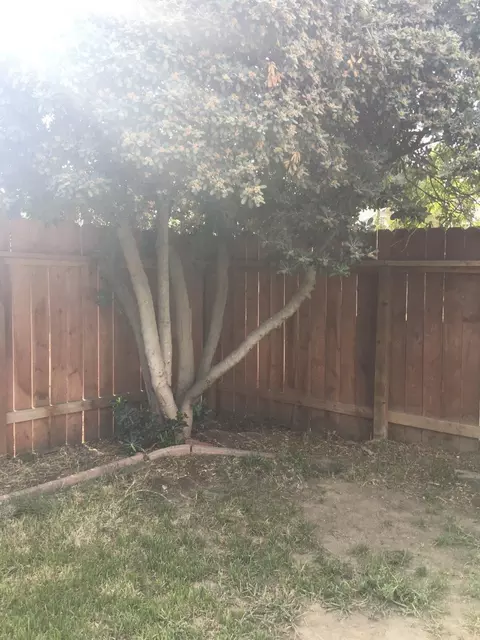 905 E Academy Ave, Tulare, CA 93274 photo 39