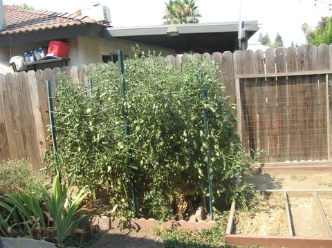 2800 E Vine Ave, Visalia, CA 93292 photo 12