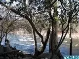 42433 Sierra Dr, Three Rivers, CA 93271 photo 4