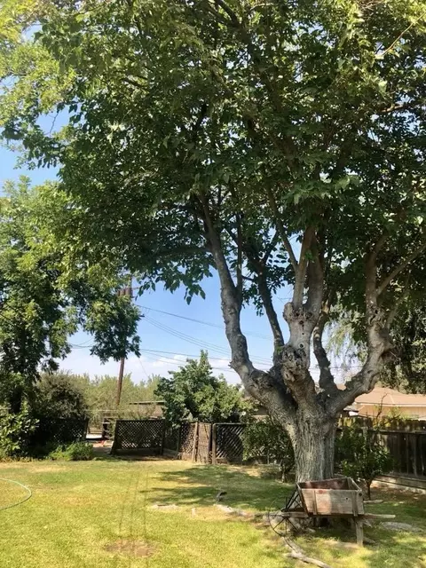 1020 E Howard, Pixley, CA 93256 photo 28