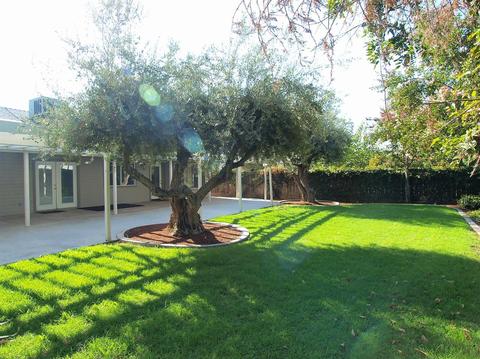 504 Lone Oak Ct, Exeter, CA 93221 photo 26