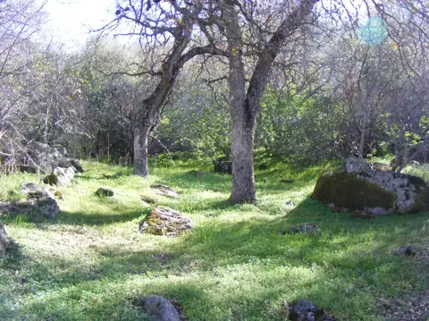 45832 Sierra Dr, Three Rivers, CA 93271 photo 15