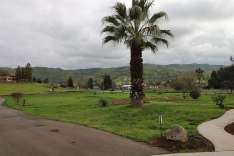31061 Palm Dr, Exeter, CA 93221 photo 58