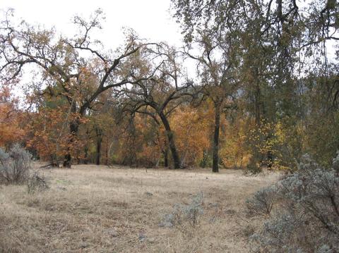 43680 N Fork Dr, Three Rivers, CA 93271 photo 22