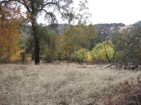 43680 N Fork Dr, Three Rivers, CA 93271 photo 23