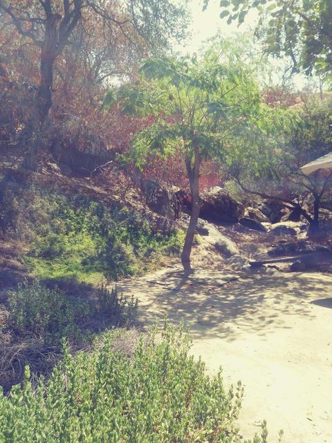 42272 Mynatt Dr, Three Rivers, CA 93271 photo 42