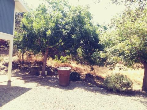 42272 Mynatt Dr, Three Rivers, CA 93271 photo 27