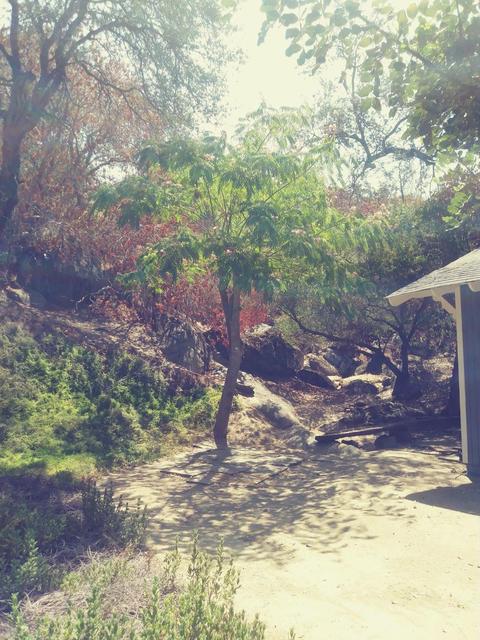 42272 Mynatt Dr, Three Rivers, CA 93271 photo 30