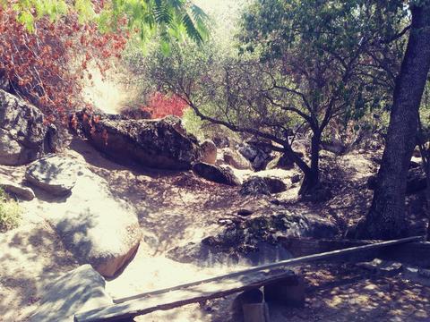 42272 Mynatt Dr, Three Rivers, CA 93271 photo 33