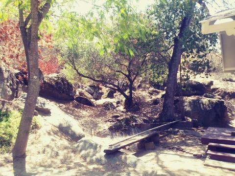 42272 Mynatt Dr, Three Rivers, CA 93271 photo 40