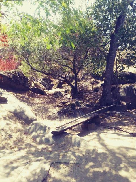 42272 Mynatt Dr, Three Rivers, CA 93271 photo 41