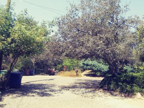 42272 Mynatt Dr, Three Rivers, CA 93271 photo 26