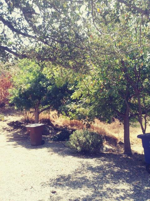 42272 Mynatt Dr, Three Rivers, CA 93271 photo 47