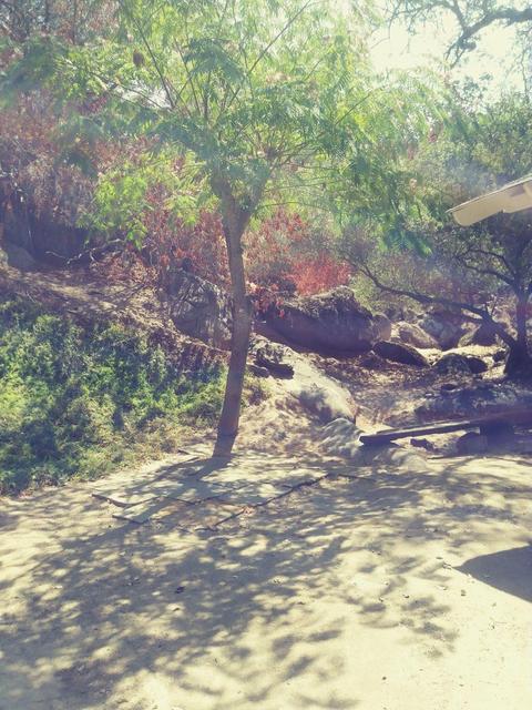 42272 Mynatt Dr, Three Rivers, CA 93271 photo 37