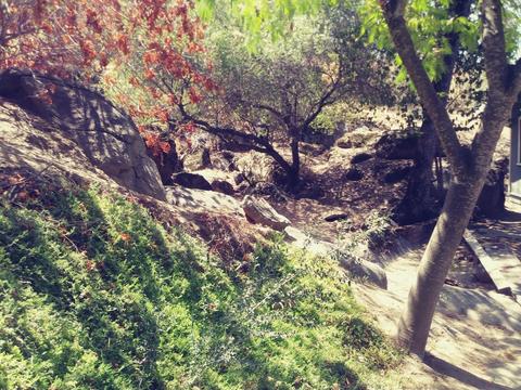 42272 Mynatt Dr, Three Rivers, CA 93271 photo 39