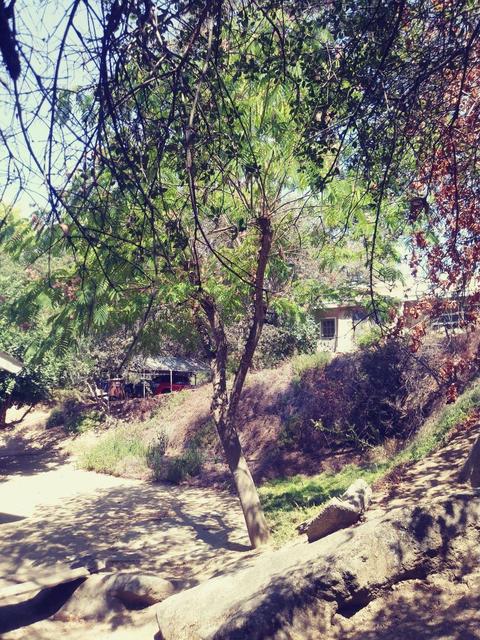 42272 Mynatt Dr, Three Rivers, CA 93271 photo 34
