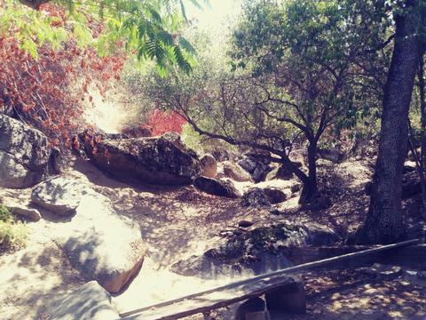 42272 Mynatt Dr, Three Rivers, CA 93271 photo 31