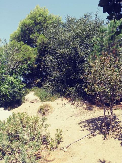 42272 Mynatt Dr, Three Rivers, CA 93271 photo 29