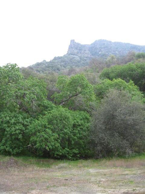 0 Oak Grove Ct C, Three Rivers, CA 93271 photo 13
