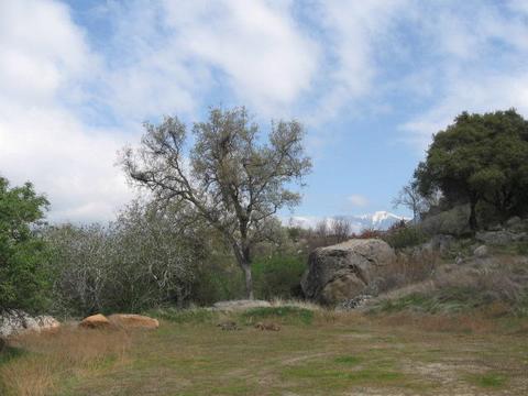 0 Oak Grove Ct C, Three Rivers, CA 93271 photo 2
