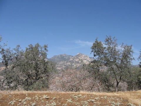0 Oak Grove Ct C, Three Rivers, CA 93271 photo 6