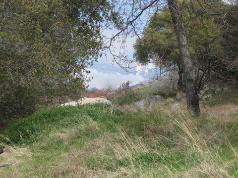 0 Oak Grove Ct C, Three Rivers, CA 93271 photo 9