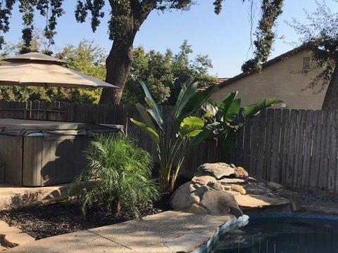 3947 E Oak Ave, Visalia, CA 93292 photo 27