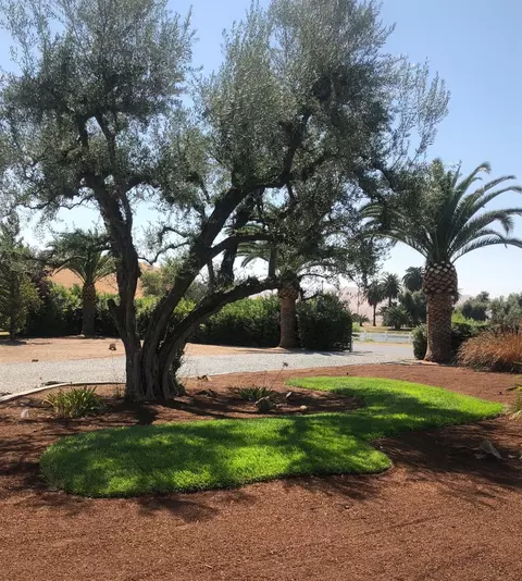 31096 Angus Loop Dr, Springville, CA 93265 photo 25