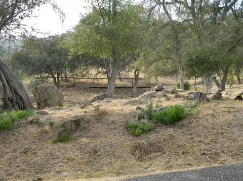 44128 Dinely Dr, Three Rivers, CA 93271 photo 10
