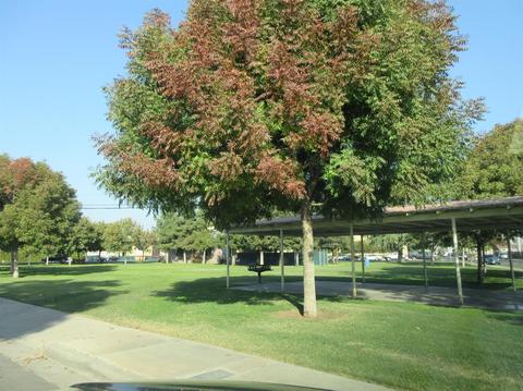161 N Filbert Rd, Exeter, CA 93221 photo 5