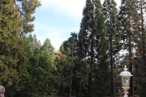 53168 Pine View Dr, Springville, CA 93265 photo 38