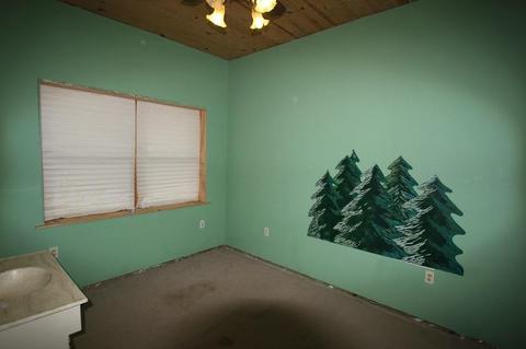 53168 Pine View Dr, Springville, CA 93265 photo 32