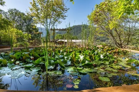 44915 S Fork Dr, Three Rivers, CA 93271 photo 3