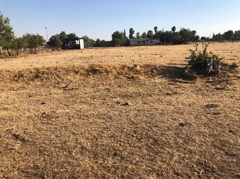 22110 Carson Ave, Exeter, CA 93221 photo 14