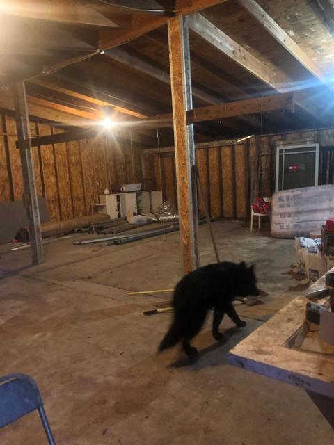 22110 Carson Ave, Exeter, CA 93221 photo 18