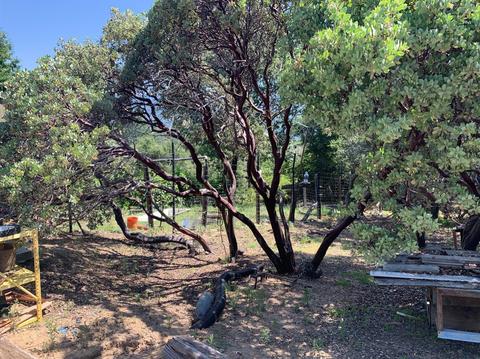 51110 Hogback Rd, Badger, CA 93603 photo 30