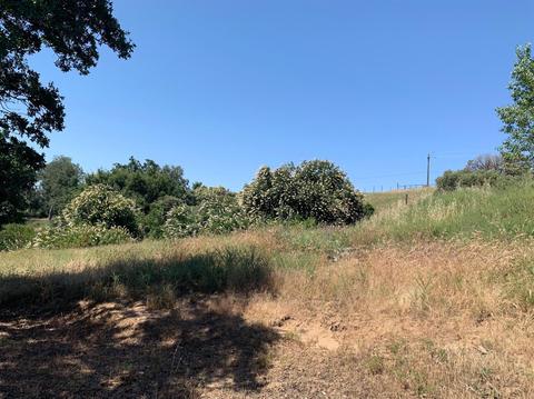 51110 Hogback Rd, Badger, CA 93603 photo 34