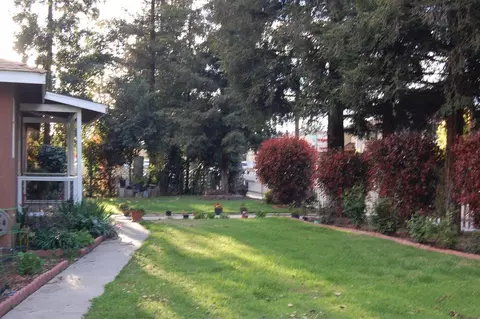 135 E Walnut Ave, Visalia, CA 93277 photo 7