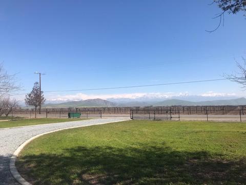 25215 Road 188, Exeter, CA 93221 photo 87