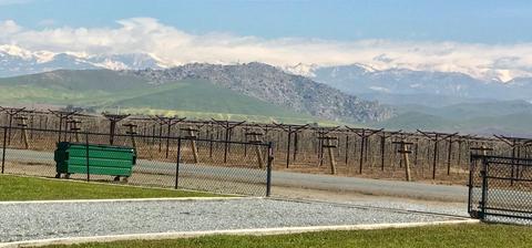 25215 Road 188, Exeter, CA 93221 photo 88