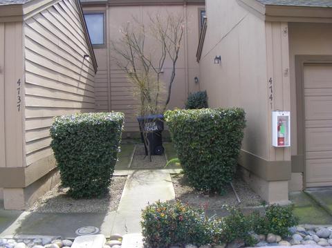4741 W Iris Ave, Visalia, CA 93277 photo 3