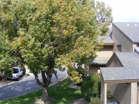 4741 W Iris Ave, Visalia, CA 93277 photo 23