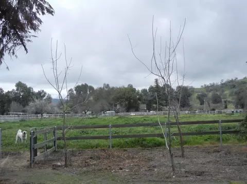 31906 Fritz Dr, Exeter, CA 93221 photo 37