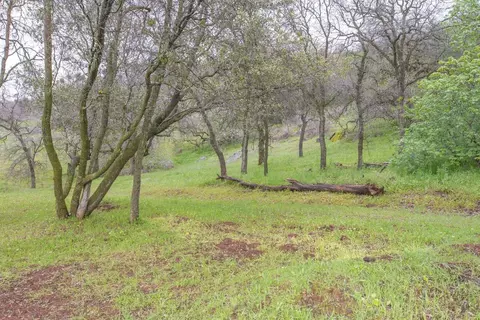 40478 Iris Rd, Squaw Valley, CA 93675 photo 90